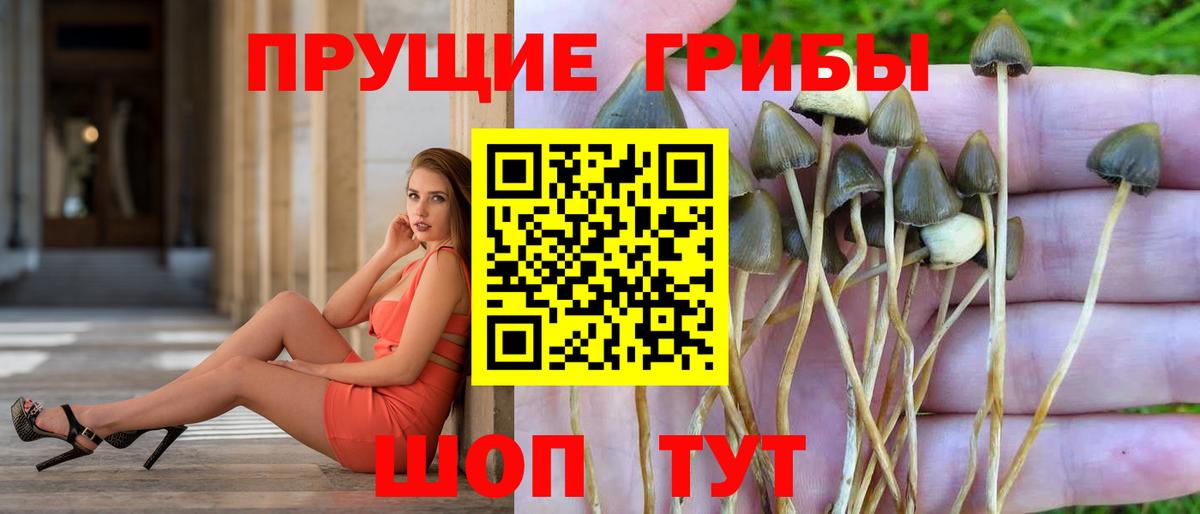 Купить наркоту  Каннабис  Балтийск  МЕФ кристаллы  Вход с VPN  Мефедрон  ГАШ 