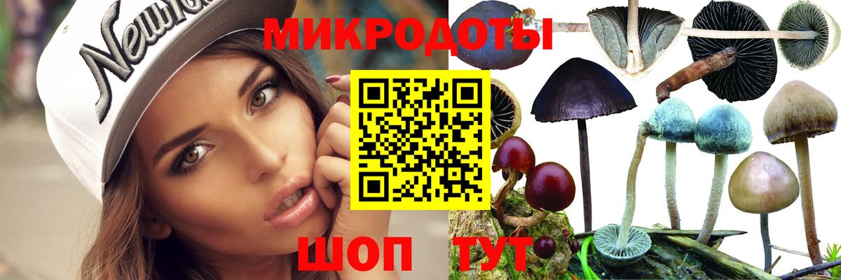 где можно купить   Псилоцибиновые грибы мицелий  Вход с VPN  Балтийск 